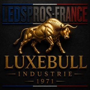 LUXEBULL INdustrie 1971, Leds professionnels